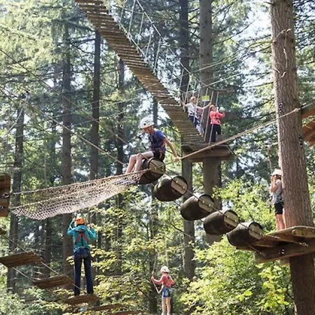 Domek alpejski Modern Chalet, Family Oriented Near The Forest And *