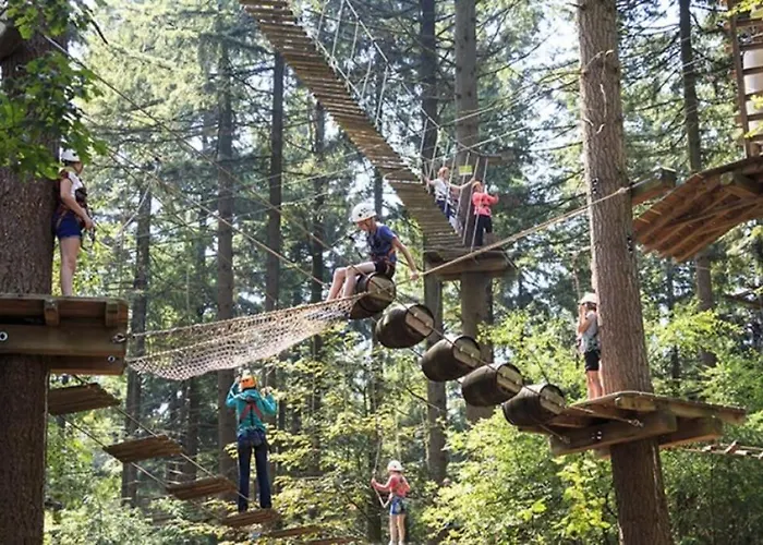 Domek alpejski Modern Chalet, Family Oriented Near The Forest And *