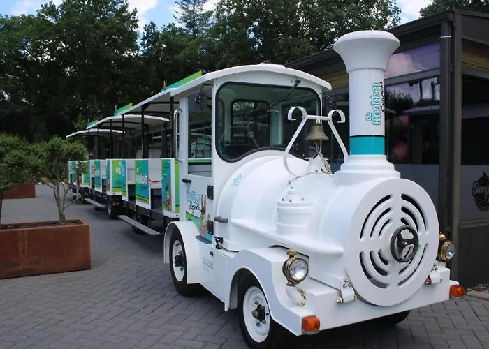 Modern Chalet, Family Oriented Near The Forest And *